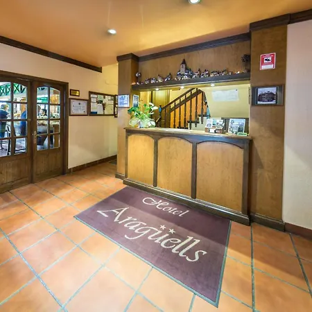 Hotel Aragueells Benasque