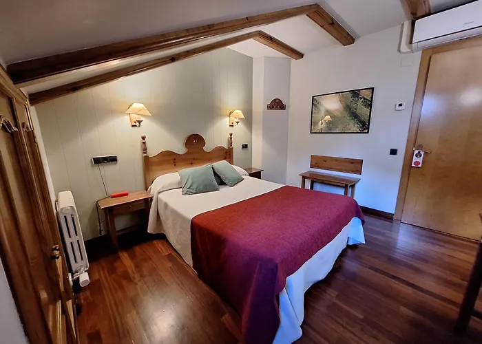 Hotel Aragueells Benasque