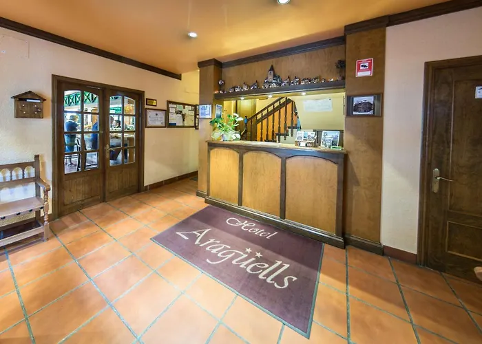 Hotel Aragueells Benasque
